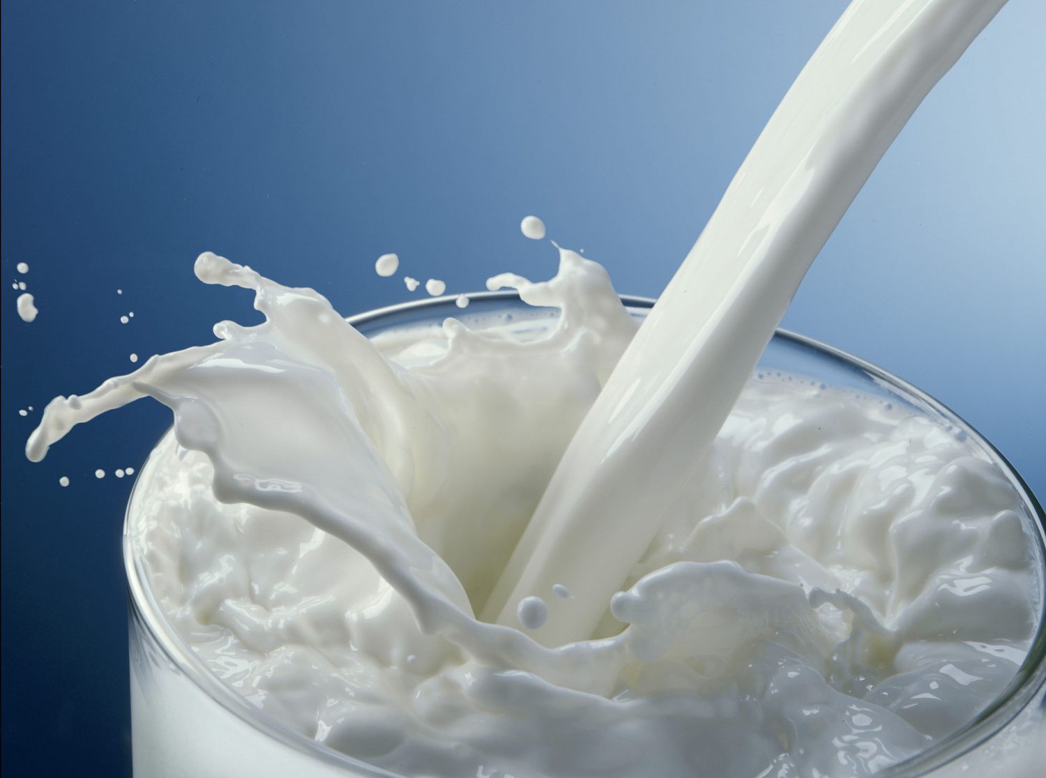 27 Hechos Sobre Leche