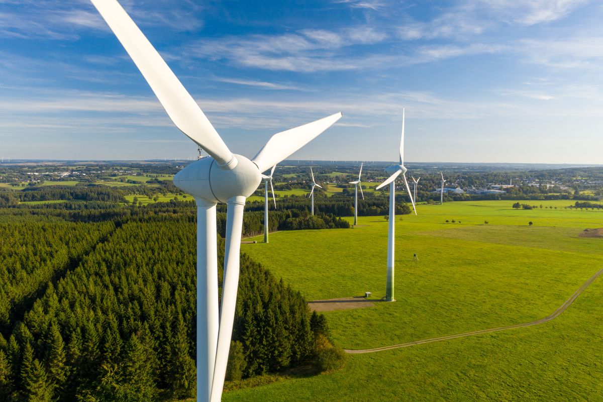 28 Hechos Sobre Energía Renovable
