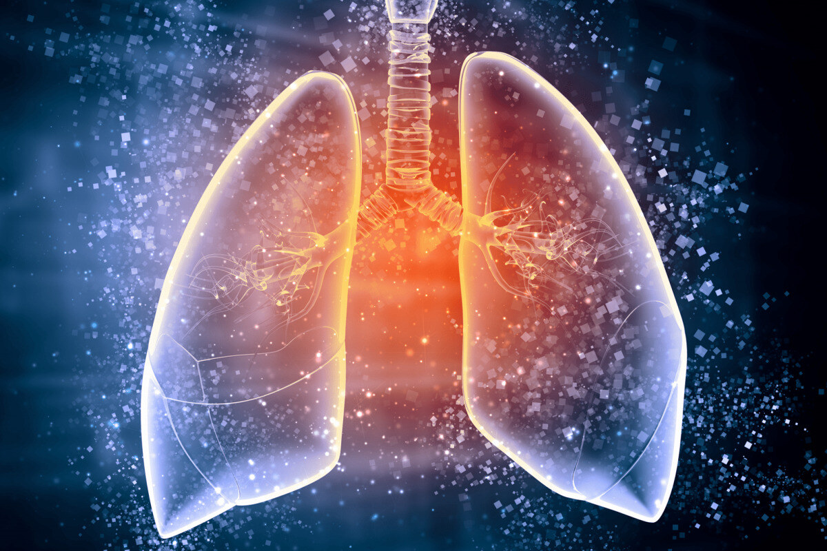 29 Hechos Sobre Tuberculosis