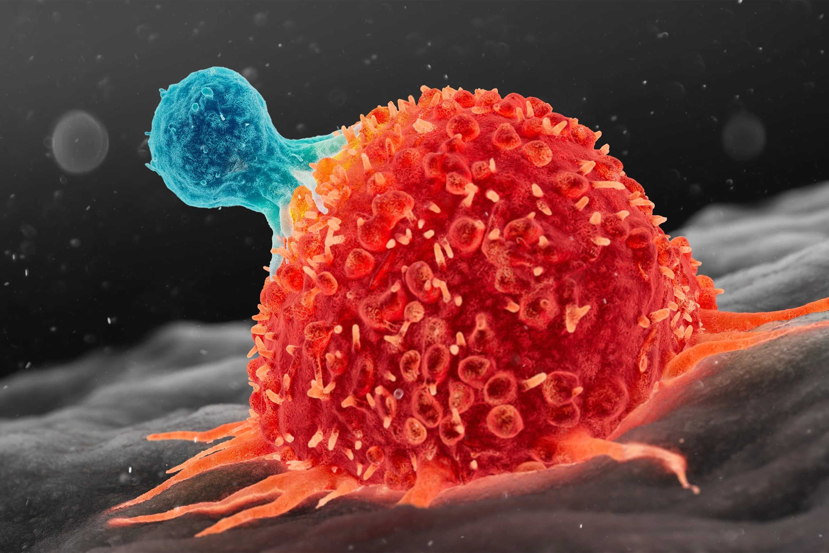 36 Hechos Sobre Cáncer
