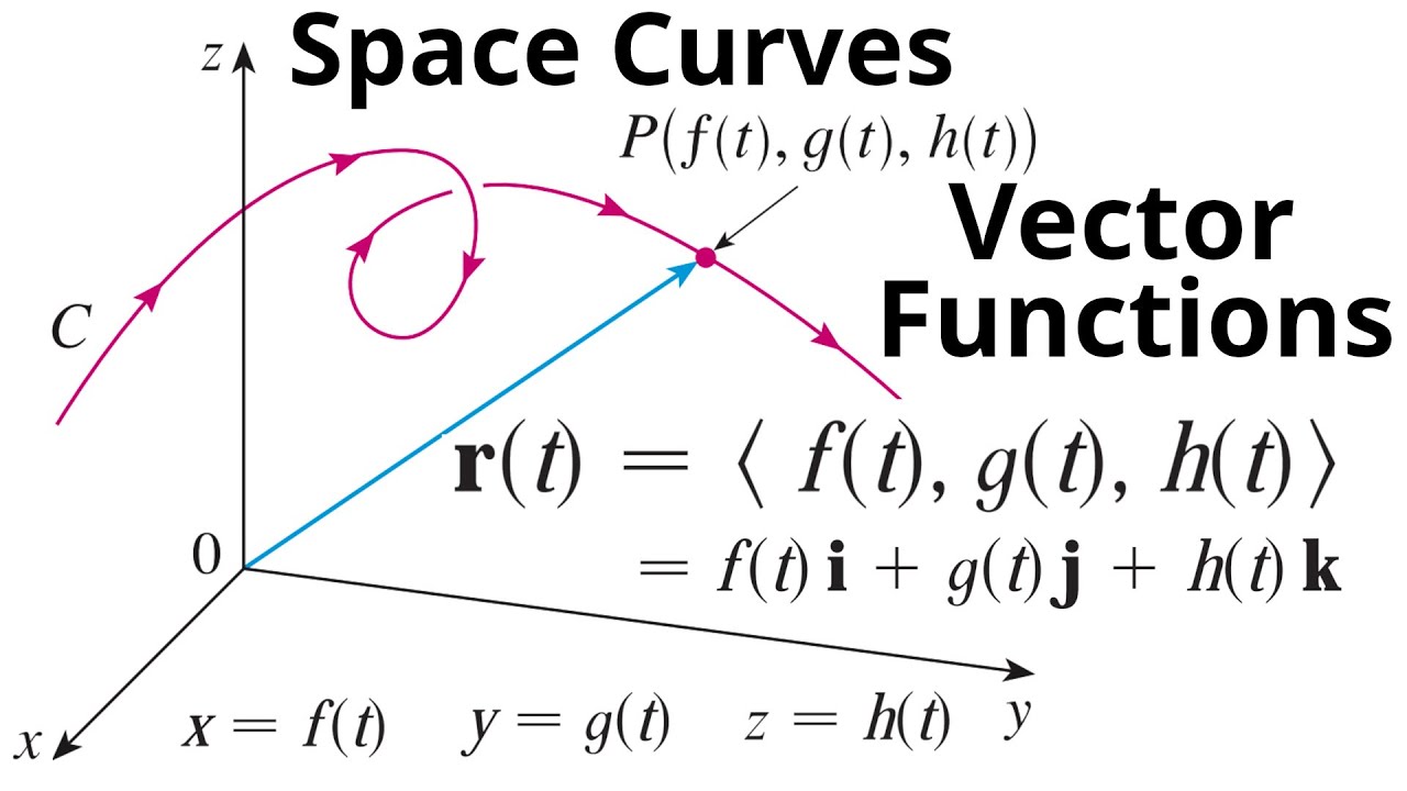 37 Hechos Sobre Curvas