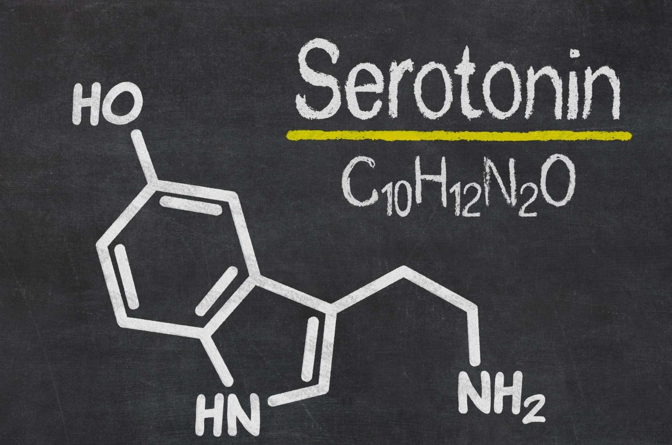 39 Hechos Sobre Serotonina