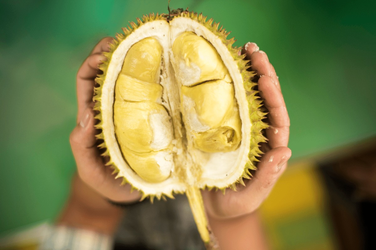 40 Hechos Sobre Durian
